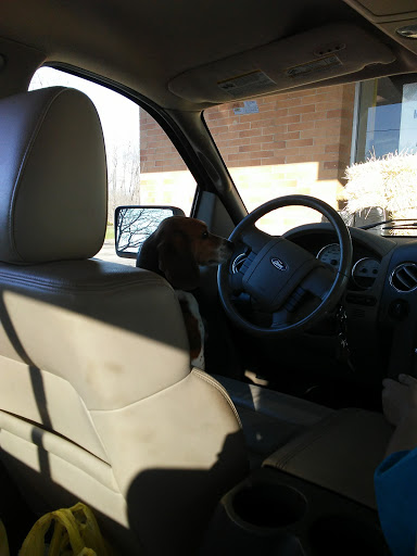 Pet Supply Store «Pet Needs Etc», reviews and photos, 28325 Telegraph Rd, Flat Rock, MI 48134, USA