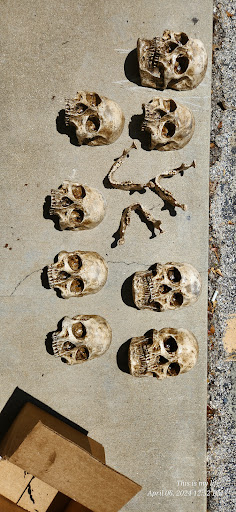 Explore cover up ideas for small tattoos, creative tattoo ideas in Bradenton, available at Memory Lane Tattoo Co.