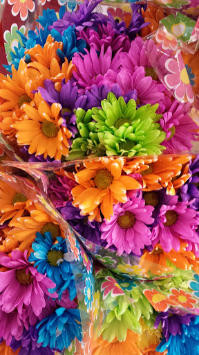 Grocery Store «Food Lion», reviews and photos, 944 Hillsboro Blvd, Manchester, TN 37355, USA