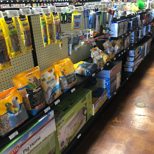 Pet Store «Choice Pet Market», reviews and photos, 2915 W Ray Rd, Chandler, AZ 85224, USA