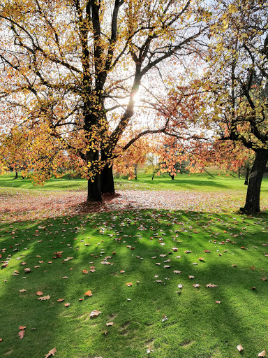 Golf Course «Rose City Golf Course», reviews and photos, 2200 NE 71st Ave, Portland, OR 97213, USA
