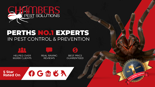 Chambers Pest Solutions