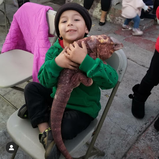 Reptile Store «Paramount Pet Entertainment - Reptile Parties & more!», reviews and photos, 8055 Rosecrans Ave #107, Paramount, CA 90723, USA
