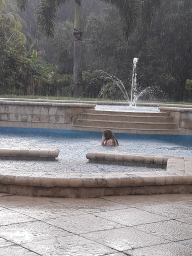 Nature Preserve «Pine Island Ridge Natural Area», reviews and photos, 3900 SW 100th Ave, Davie, FL 33328, USA