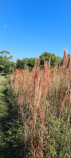 Nature Preserve «Woodmont Natural Area», reviews and photos, 7250 NW 80th Pl, Pompano Beach, FL 33321, USA