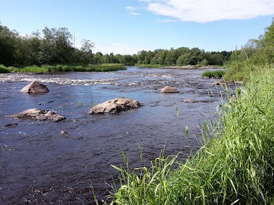 Photos of Kielosaari Riverside Cottages