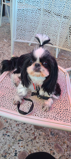 Cafe «Village Coffee Roastery», reviews and photos, 8120 N Hayden Rd, Scottsdale, AZ 85258, USA