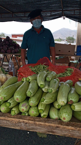 El rey de las hortalizas - Copiapó