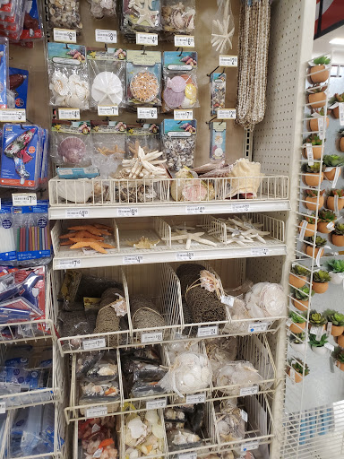 Craft Store «Michaels», reviews and photos, 1206 Bridford Pkwy C, Greensboro, NC 27407, USA