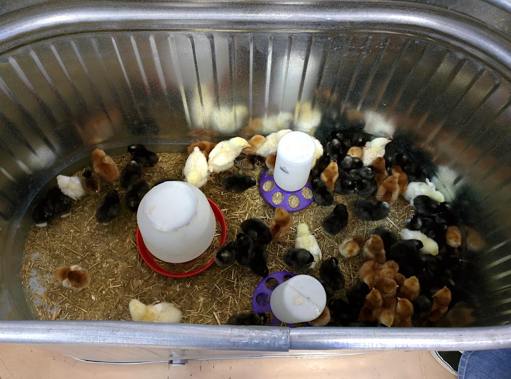 Desert Feed Bag Indio, CA 92201 Location, Reviews, Hours and