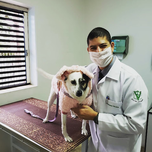 Home Vet Clínica Veterinaria Rio Claro, Rio Claro SP Vet Clínicas BR