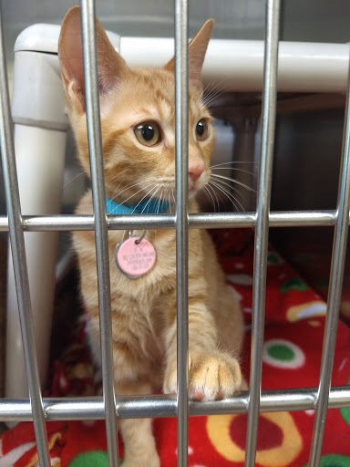 Non-Profit Organization «Heartland Humane Society», reviews and photos, 398 SW Twin Oaks Cir, Corvallis, OR 97333, USA