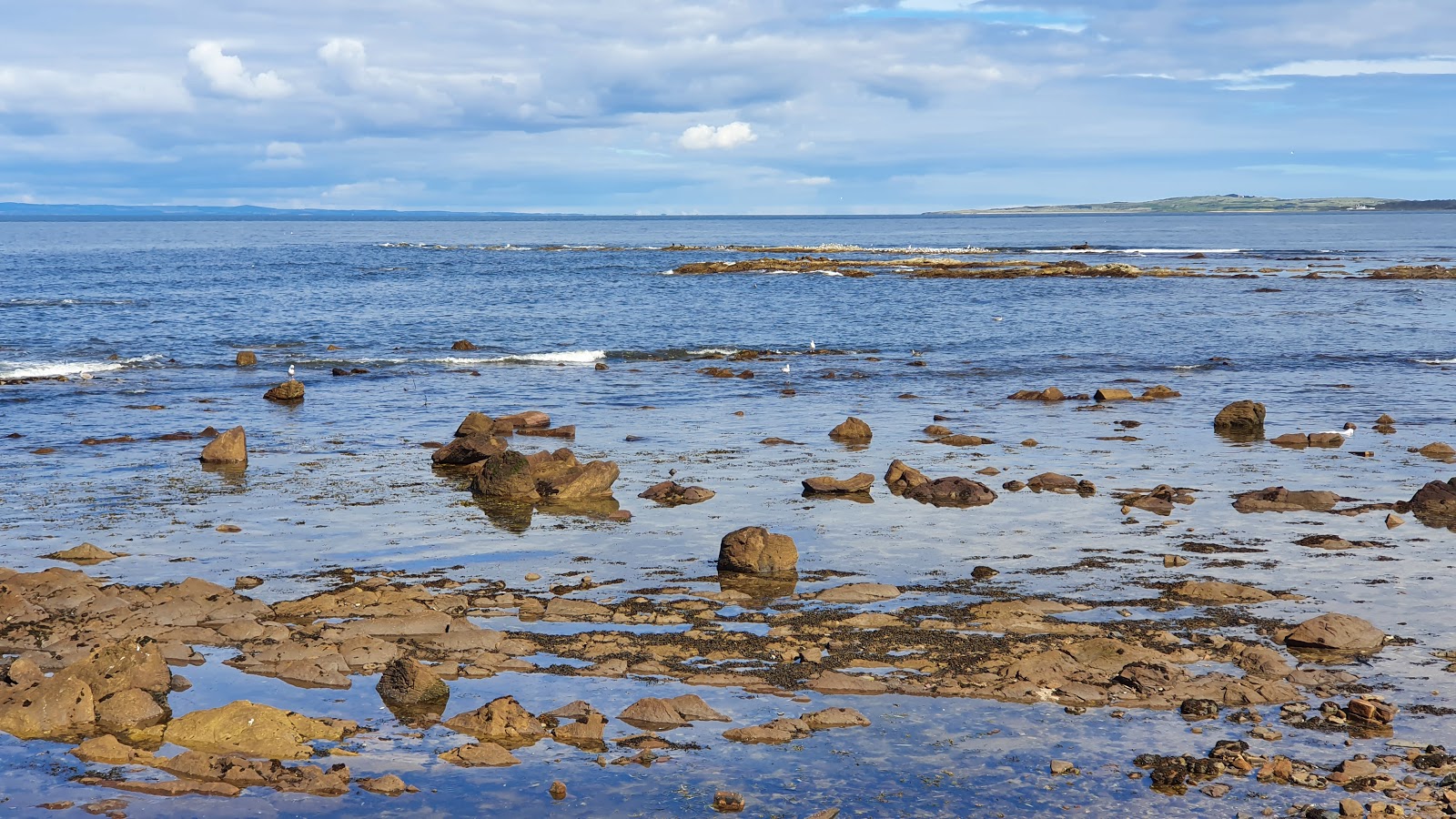 Photo de Prestonpans Beach et le règlement
