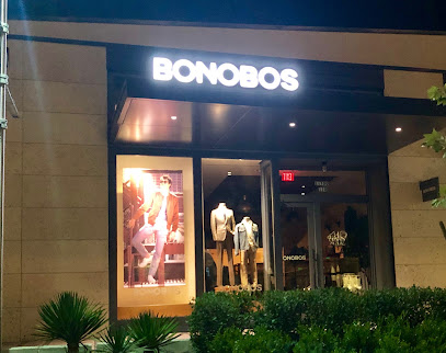 Bonobos - The Domain