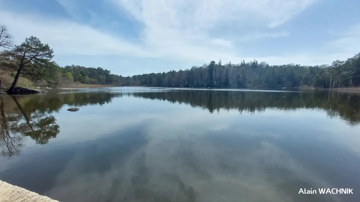 Photo n° 1 de l'avis de Instagram.l fait le 16/04/2022 à 16:15