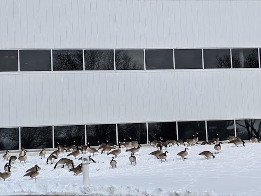 Employment Agency «Aerotek», reviews and photos, 100 Phoenix Dr #250, Ann Arbor, MI 48108, USA