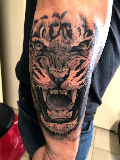 Explore cincinnati tattoo ideas, creative tattoo ideas in Saint Petersburg, available at Cthulhu Tattoo & Body Piercing