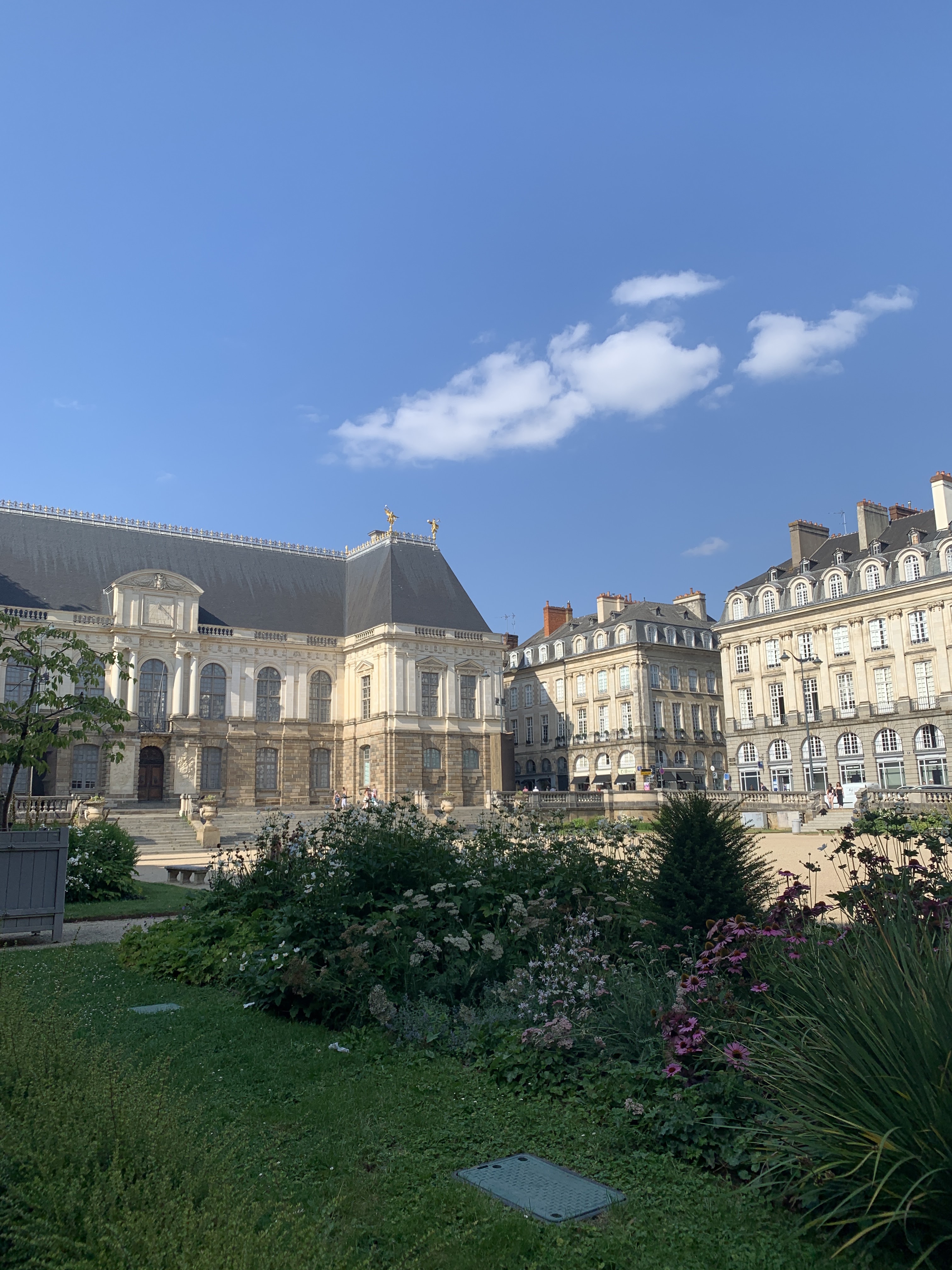 Photo n° 5 de l'avis de Nuovo.n fait le 19/07/2022 à 18:33
