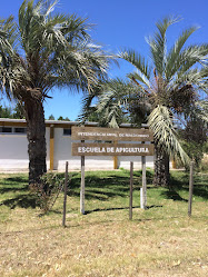 Escuela Municipal de Apicultura de San Carlos