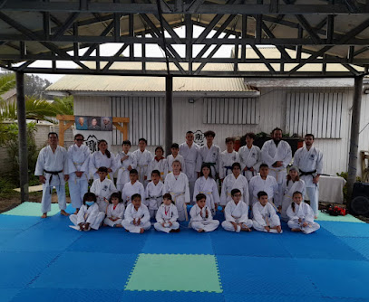 Kaminari Dojo - Punta de Tralca