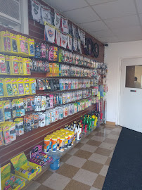 Express Hand Car Wash - Photo 4 - Car repair in Hartford, CT, Hartford