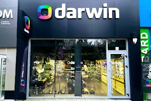 Darwin image