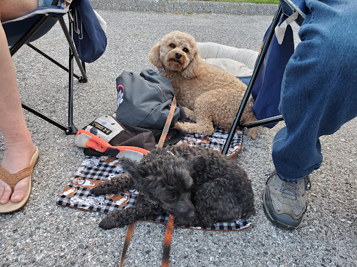 Wine Store «Wine Bin», reviews and photos, 8390 Main St #1, Ellicott City, MD 21043, USA