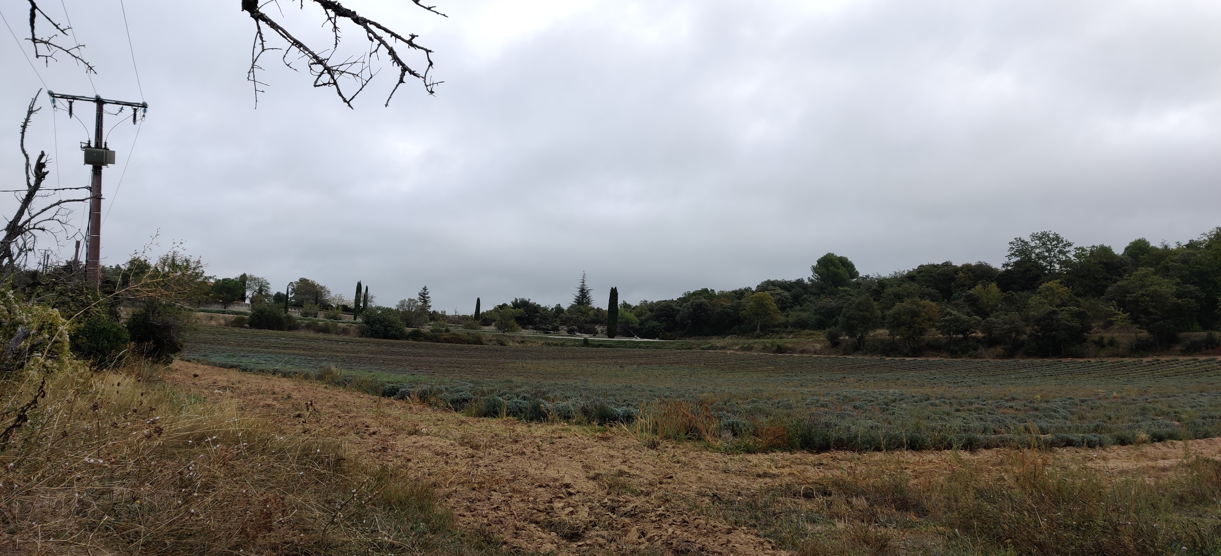 Photo n° 2 de l'avis de jean-pierre.a fait le 14/10/2023 à 12:18