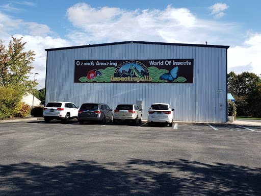 Museum «Insectropolis», reviews and photos, 1761 U.S. 9, Toms River, NJ 08755, USA