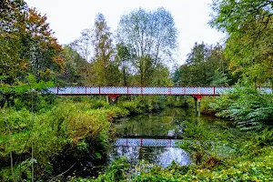 Queen's Park image