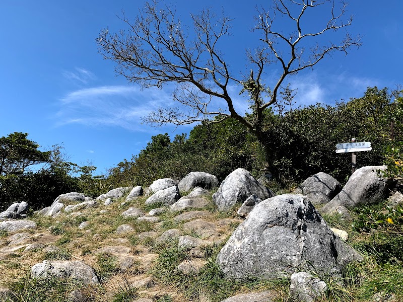 大平山