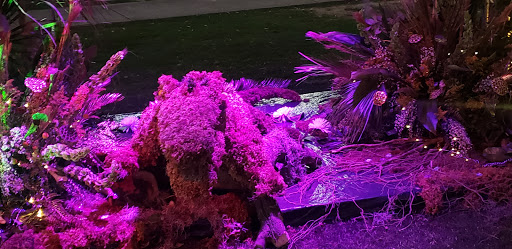 Park «Cathedral Square», reviews and photos, 300 Conti St, Mobile, AL 36602, USA