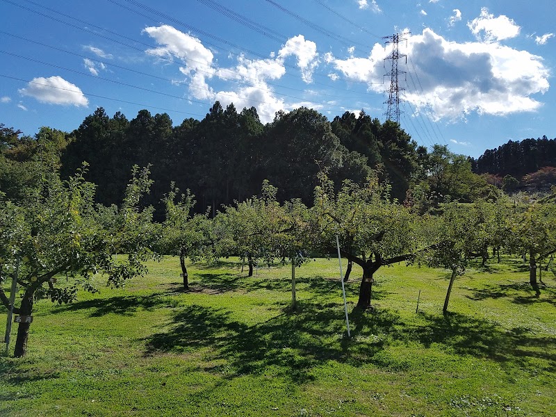 峰岸果樹園