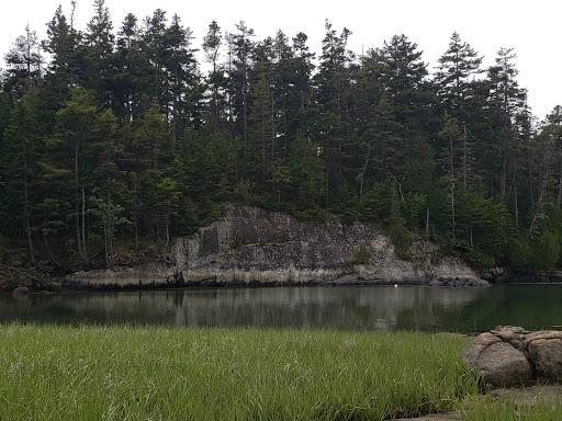 Vista Point «Schoodic Point», reviews and photos, Arey Cove Rd, Winter Harbor, ME 04693, USA
