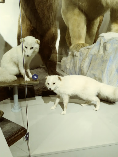 Science Museum «Buffalo Museum of Science», reviews and photos, 1020 Humboldt Pkwy, Buffalo, NY 14211, USA