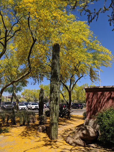 Shopping Mall «Shops at Norterra», reviews and photos, 2460 W Happy Valley Rd, Phoenix, AZ 85085, USA