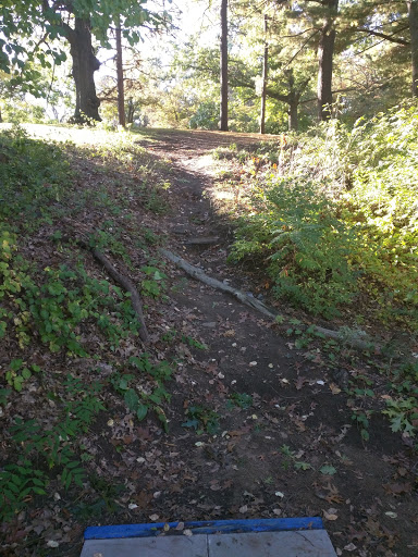 Golf Course «Central Park Disc Golf Course», reviews and photos, PTL Arthur Chaires Ln, Schenectady, NY 12309, USA