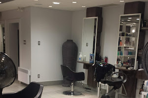 Salon Hollywood Coiffure