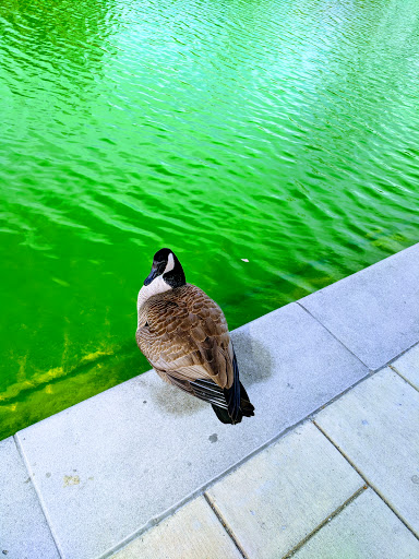 History Museum «Indiana State Museum», reviews and photos, 650 W Washington St, Indianapolis, IN 46204, USA