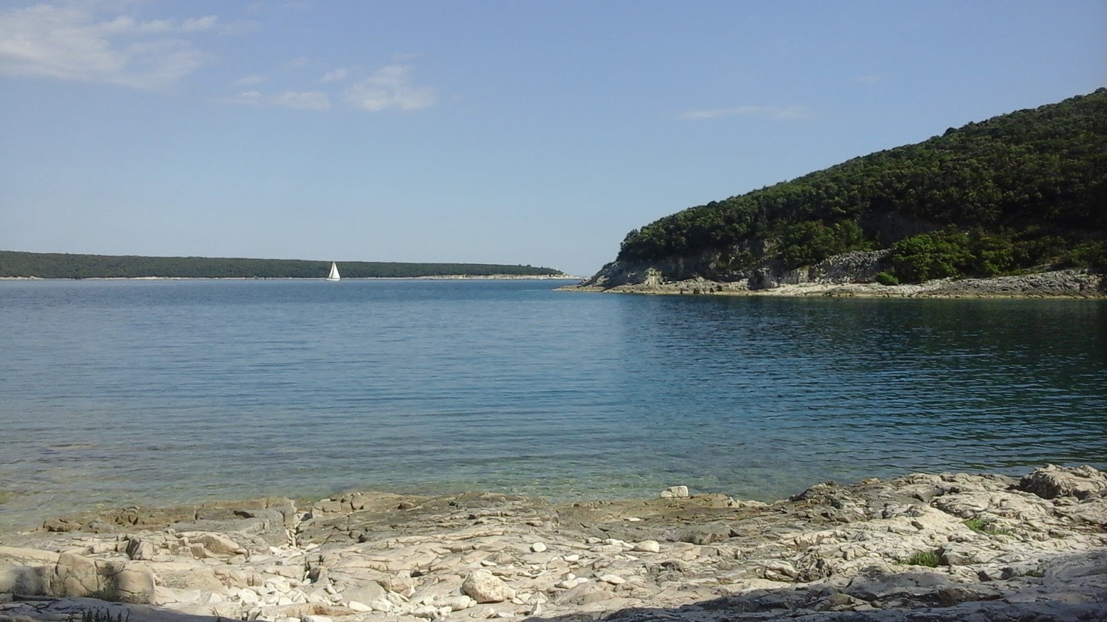 Foto de Loverica beach área selvagem