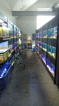 Eddie's Aquarium Centre - Photo 9 - Car repair in Cohoes, NY, Albany