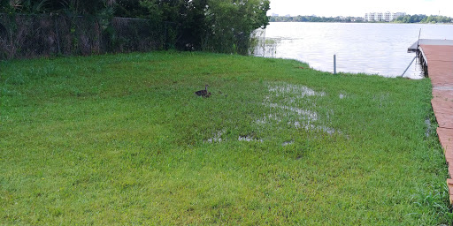 Park «Lake Fairview Park», reviews and photos, 2200 Lee Rd, Orlando, FL 32810, USA