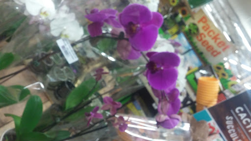 Home Improvement Store «The Home Depot», reviews and photos, 9200 Whittier Blvd, Pico Rivera, CA 90660, USA