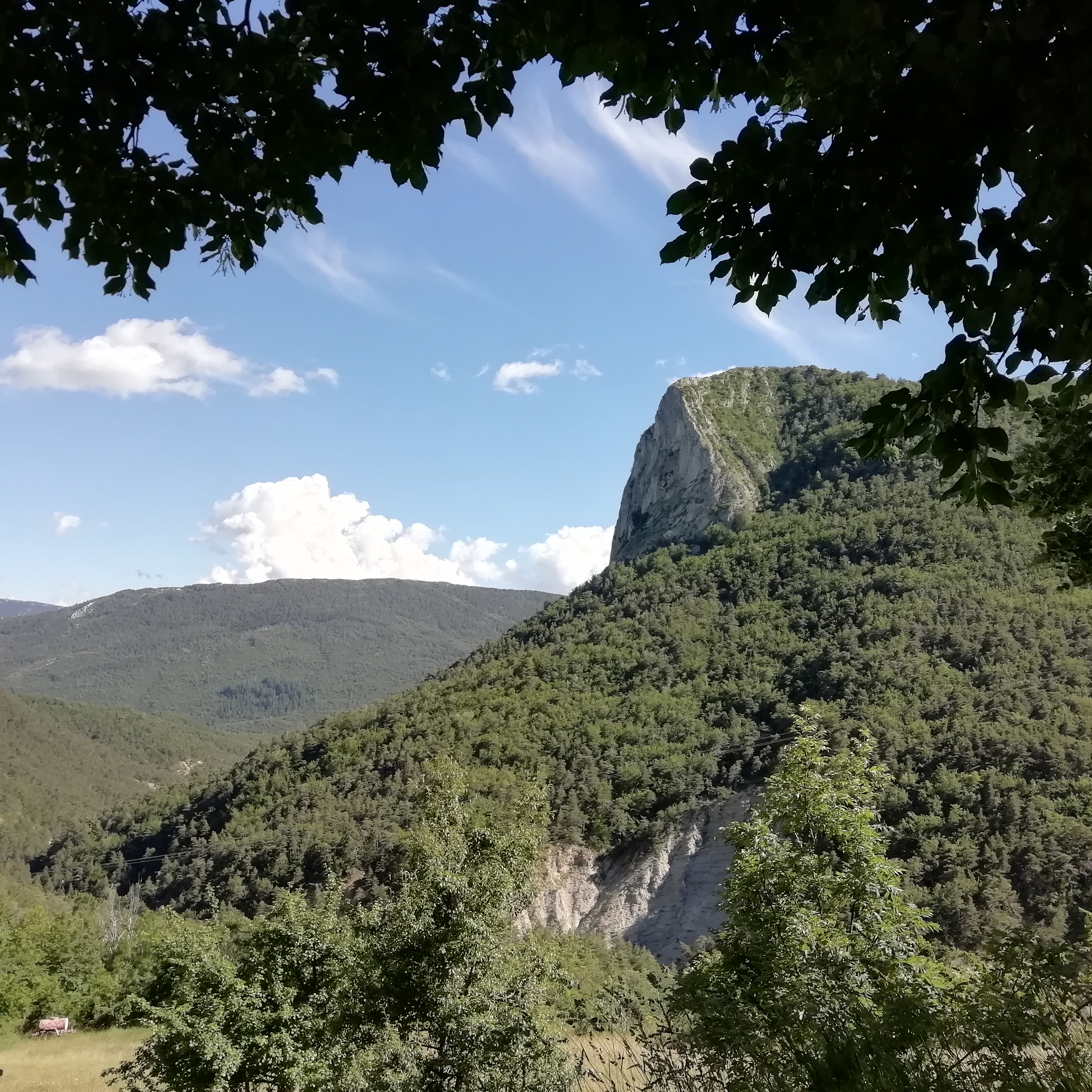 Photo n° 2 de l'avis de Patrice.e fait le 18/07/2020 à 09:41