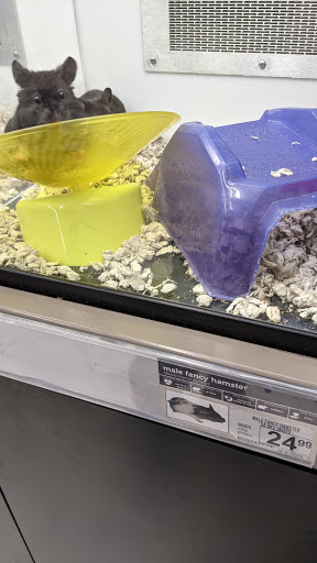 Pet Supply Store «Petco Animal Supplies», reviews and photos, 6137 Mid Rivers Mall Dr, St Charles, MO 63304, USA