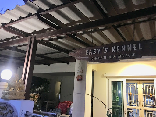 Easy’s kennel pomeranian &maltese