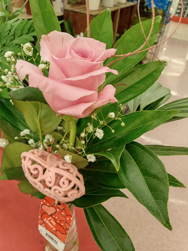 Grocery Store «Winn-Dixie», reviews and photos, 31100 Cortez Blvd, Brooksville, FL 34602, USA