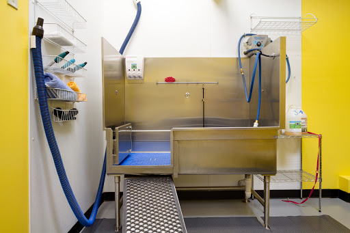 Pet Store «Dog Wash Etc», reviews and photos, 1037 Forest Ave, Portland, ME 04103, USA