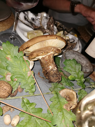 Plats et boissons hôtels Villa d'hôtes Graine de pin 62520 Le Touquet-Paris-Plage