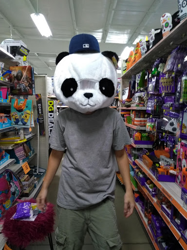 Discount Store «Dollar General», reviews and photos, 2900 W Delmar Ave, Godfrey, IL 62035, USA